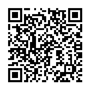 珍妮也感到轻微的歉疚――那个死亡威胁实在是改变太多事情了二维码生成