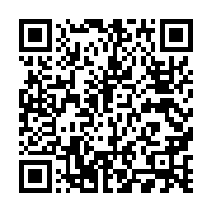 珍妮从来没有发现自己是这么的热爱表演――在这一刻二维码生成