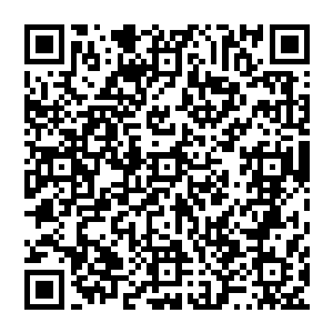 珍妮只能去寻找一些松枝――最后又自暴自弃地决定做松枝烤羊肉片――在优胜美地住得越久二维码生成