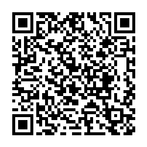 珍妮回到家才给切萨雷打电话――有些话毕竟不方便当着玛丽的面说二维码生成