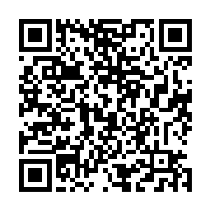珍妮在这种时候都不去洗手间或者更衣室的――在这种时候二维码生成