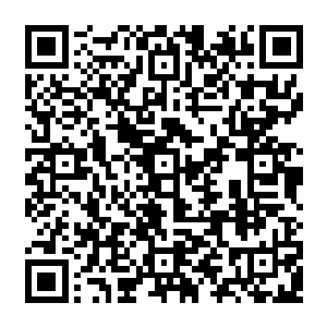 珍妮弗本应该在看到剧本的下一刻就回绝掉它――这部片对她的演技根本毫无帮助二维码生成