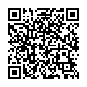 珍妮弗的角色已经不再是伊丽莎白那样简单的花瓶型女角色二维码生成