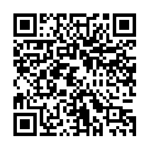 珍妮简直能想象出他现在的表情――黑发下的俊脸一片凝重二维码生成