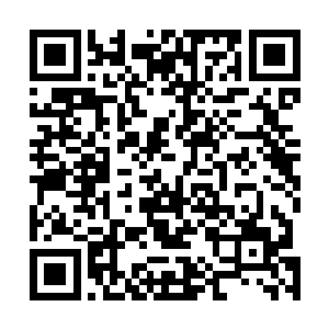 珍妮粗略地估算了一下数量――即使对每个剧本都做简读二维码生成
