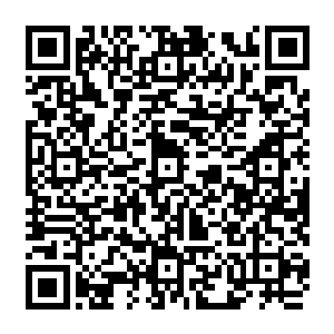珍妮肯定地想着――切萨雷通常只有在她自行作出他乐见其成的决定时才会这么乖顺二维码生成
