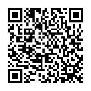 珍珠的话却让苗翠花意识到自己的脑洞开得还不够大――二维码生成