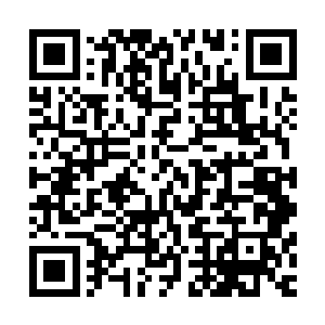 班里同学和任课老师单独抑或结伴打的抑或自驾车前往凯旋门二维码生成