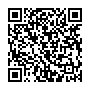 班长秦嫣然已经开始一桌一桌地收回中午发下去的祝福卡片了二维码生成