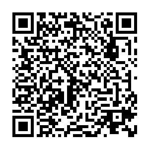 琉璃门的强者根本想不到这世上会有生灵能在他们眼皮子底下盗走千幻琉璃二维码生成