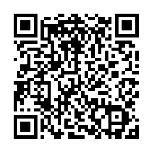 琳琅将手里的匣子极其不舍却又不得不的往容锦跟前推了推二维码生成
