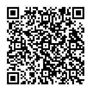 瑞典皇家医院的院长肯德和斯德哥尔摩皇家医学院院长希瓦脸上的笑容就有些虚伪和敷衍二维码生成