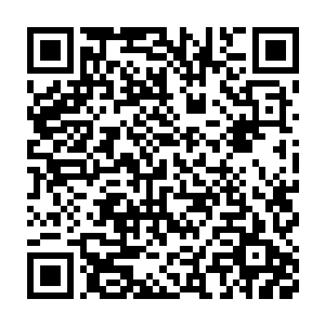 瓦尔德马・德・奥利维拉从毛罗嘴巴里已经知道了为什么要暂停训练了二维码生成