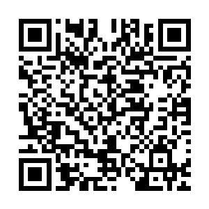 瓷瓶和玉简仿佛长了翅膀一样飞到了洞内一块平整的岩石上面二维码生成