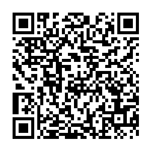 甘心做他一条家狗――你对得起你死去的师父对得起自己的良心吗二维码生成