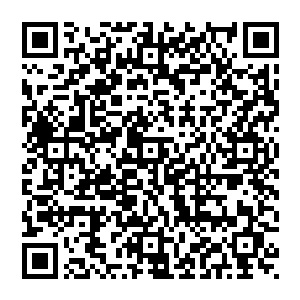 甚至一点他的破绽都找不到……一直以来的信息假太子也按时按刻准时回传所以我们以为一切正查二维码生成
