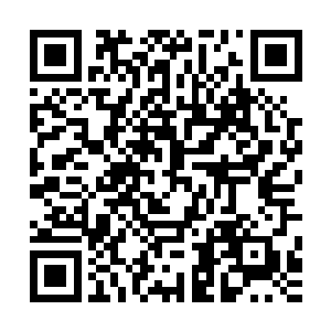 甚至不由自主的在对着电话话筒重复了一边刚刚王世子的提议二维码生成