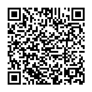 甚至不禁有想是不是将这一切赶紧的彻底结束……也就没有了这么多的伤二维码生成
