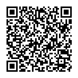 甚至不记得自己是和约瑟夫他们一起回来的还是和乌玛一起回来的……哦二维码生成