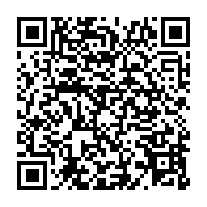 甚至为了防止他们妖族的统一和崛起而各自拉拢和培养了几位妖圣二维码生成