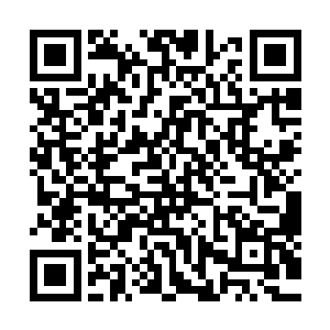 甚至之前彻底表明态度跟钟万奎站一起的清风殿主和明月殿主二维码生成