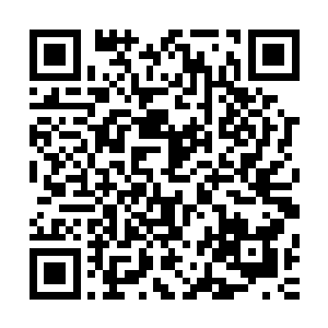 甚至于丁羽还刻意的拿起来这把刀子让他们仔细的欣赏了一番二维码生成