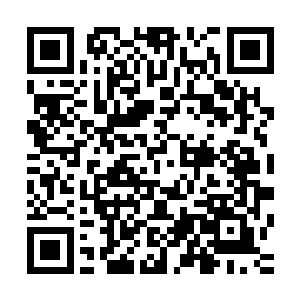 甚至五级以下战士都不准佩戴和使用由骨器师制造的骨制武器二维码生成