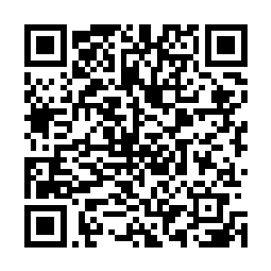 甚至从包里掏出整齐的一叠绿油油的钞票的时候眼睛都不眨二维码生成