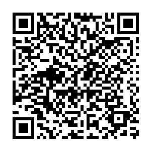 甚至他们连自己的老大都不管了……宋青山也没有理睬那个满头是血二维码生成