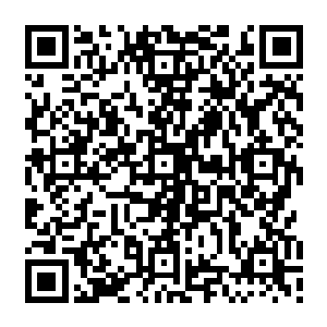 甚至他根本就不需要使用什么太麻烦的攻击直接用拳头就可以搞定这十多个家伙了二维码生成