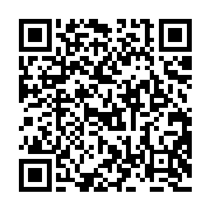 甚至令人类文明和平过度到现实和虚幻共存的全新阶段二维码生成