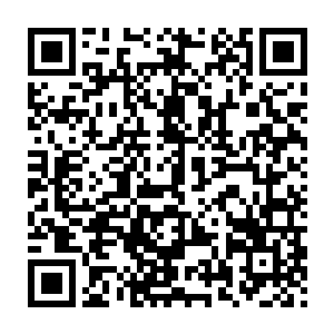甚至你现在给我放出去我都有顺着长白山的树尖儿踩着回家去的冲动二维码生成