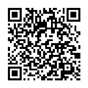 甚至到目前为止都还没人敢百分百断定小鸡蛋一定会破的二维码生成