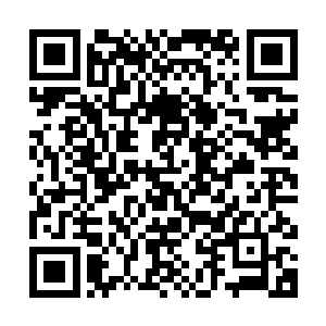 甚至去厕所用的什么牌子的手纸都受到世界各国人民的疯狂追捧二维码生成