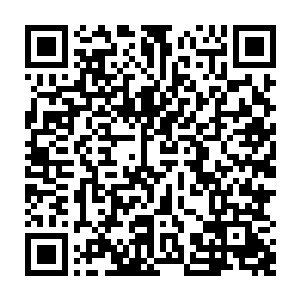 甚至可以用百爪挠心来形容的……生命树这样珍贵无比的至宝就在自己的眼前二维码生成