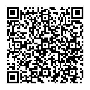 甚至可以让人看到社会冷漠在他身上留下的一个个烙印――终身都无法抹去的烙印二维码生成