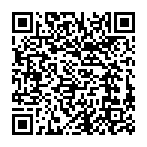 甚至可以说是失去了联系――珍妮还以为两人会继续失联一段时间二维码生成