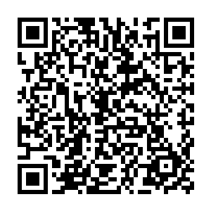 甚至在地脉中也已启动了多重法阵监控施展飞行术法所产生的灵力波动二维码生成