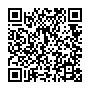 甚至在填涩的地方还能隐约看不到一些细细的经脉血管样子二维码生成
