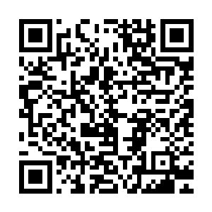 甚至在整个噩梦森林的核心传说中可是有着封神境界的妖兽存在二维码生成