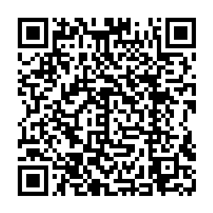 甚至在整个寰宇天界都没有多少人能够在这么短的时间达到如此恐怖的修为二维码生成