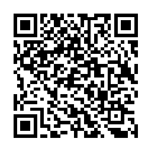 甚至天族王根本就无法预判到夏天下一次会出现在什么地方二维码生成