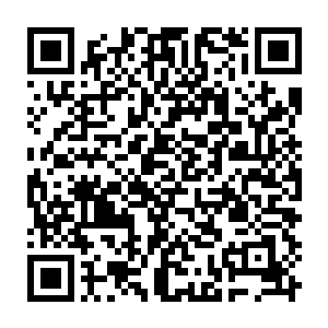 甚至它连灵兽都算不上……只是一种体内留着极为稀薄洪荒异兽血脉的生物二维码生成