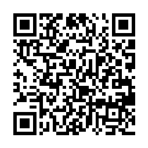 甚至完全击散对方的罡气领域也并非没有可能的……二维码生成