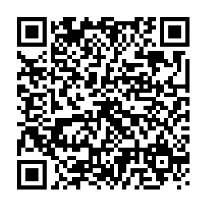 甚至对他暗中也产生了一丝朦胧意思的杨淑琴羞恼得连连跺了几脚二维码生成