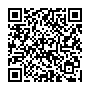 甚至将长尾上的楚旬当成兵器狠狠朝周御龙等人砸了过去二维码生成