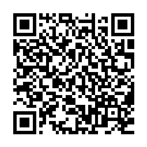 甚至就连刚刚骨皇连一招都没能挡下便被轰飞重创的白色电芒二维码生成