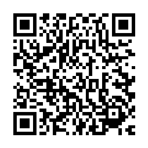 甚至就连原本计划中要提前开始做准备并制作的廖辽的新专辑二维码生成
