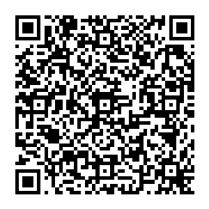 甚至就连奥林匹斯诸多强者加持在他们身上的各种法术和天赋能力都没有起到任何的防护作用二维码生成