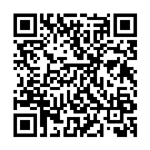 甚至就连折袖表现出来的强悍能力与意志也超过了他们的预算二维码生成